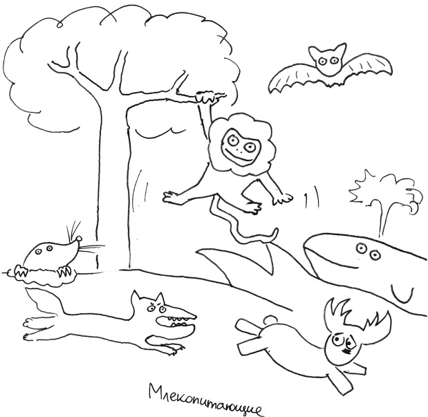 Иллюстрация к книге — Хлопок одной ладонью [i_092.jpg]