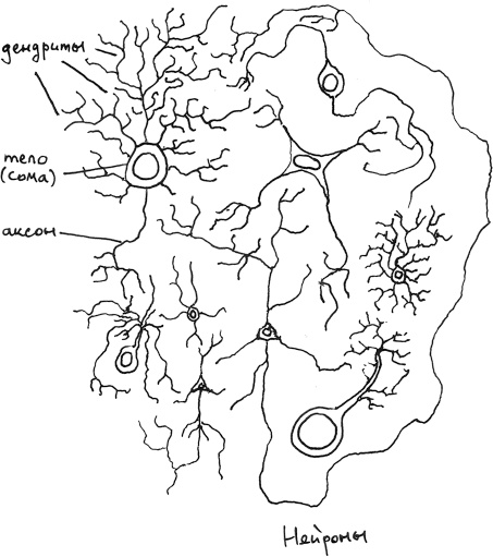 Иллюстрация к книге — Хлопок одной ладонью [i_098.jpg]