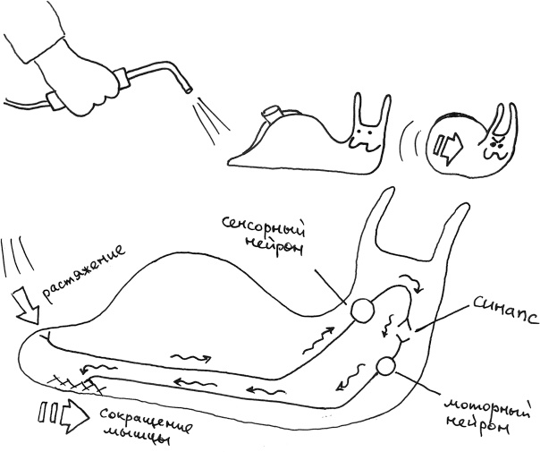 Иллюстрация к книге — Хлопок одной ладонью [i_106.jpg]