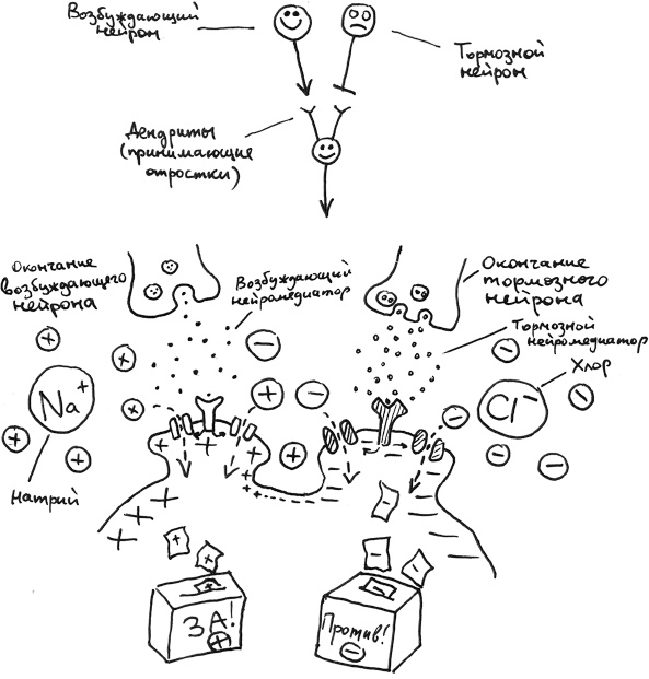 Иллюстрация к книге — Хлопок одной ладонью [i_112.jpg]