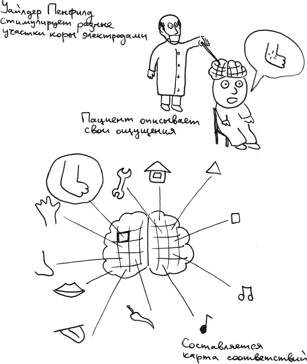 Иллюстрация к книге — Хлопок одной ладонью [i_117.jpg]