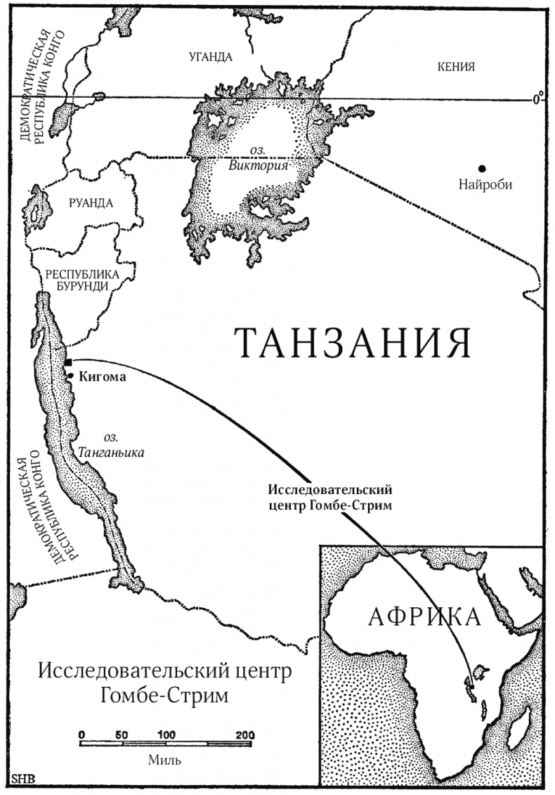 Иллюстрация к книге — В тени человека [i_001.jpg]