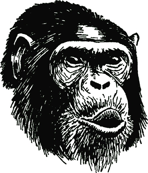 Иллюстрация к книге — В тени человека [i_004.jpg]