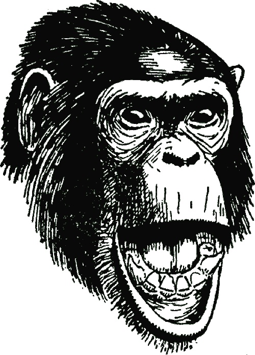 Иллюстрация к книге — В тени человека [i_005.jpg]