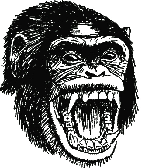 Иллюстрация к книге — В тени человека [i_006.jpg]