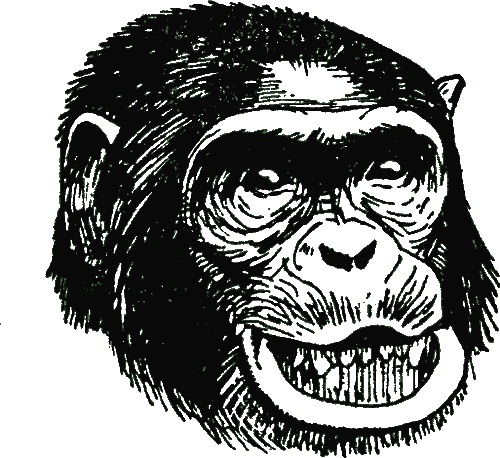 Иллюстрация к книге — В тени человека [i_008.jpg]