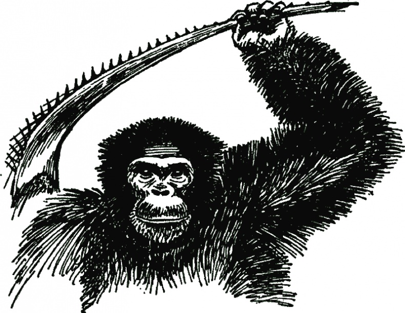 Иллюстрация к книге — В тени человека [i_009.jpg]