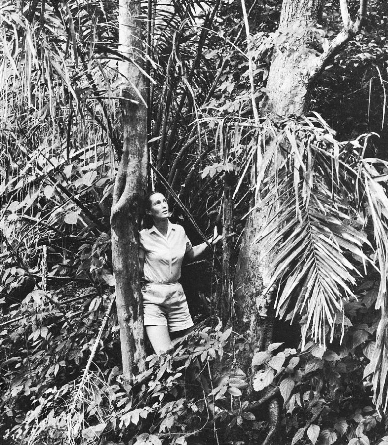 Иллюстрация к книге — В тени человека [i_015.jpg]