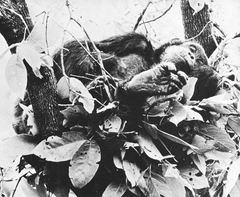 Иллюстрация к книге — В тени человека [i_019.jpg]