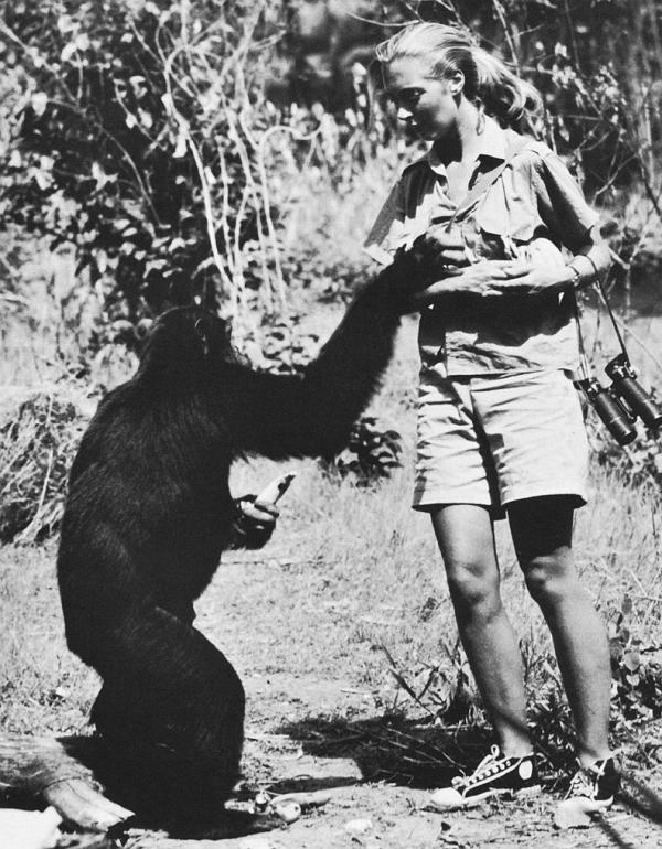 Иллюстрация к книге — В тени человека [i_021.jpg]