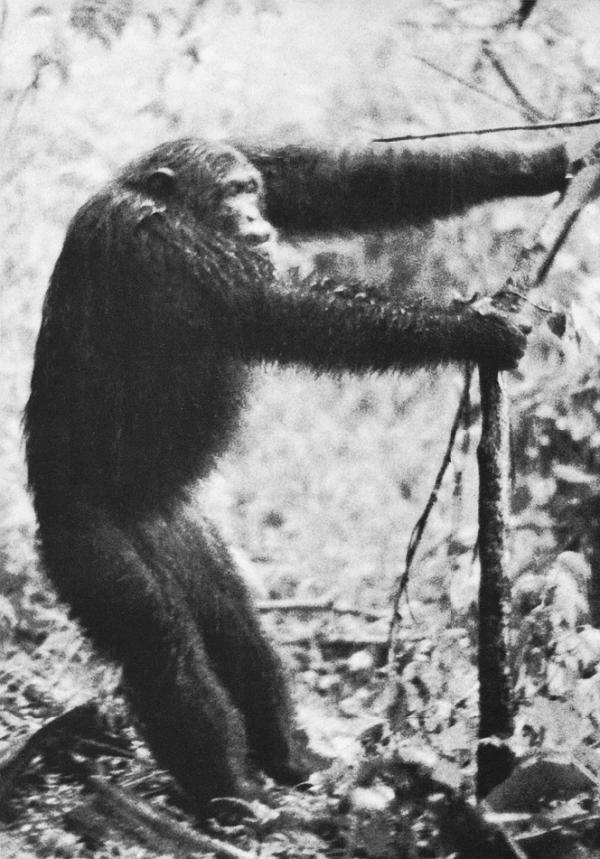 Иллюстрация к книге — В тени человека [i_025.jpg]