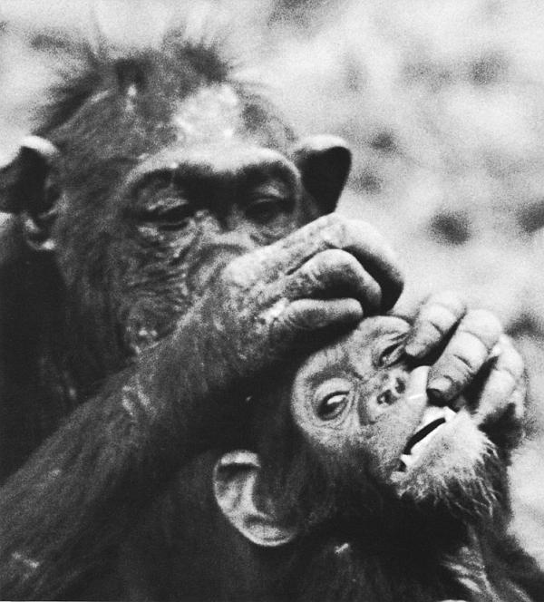 Иллюстрация к книге — В тени человека [i_029.jpg]