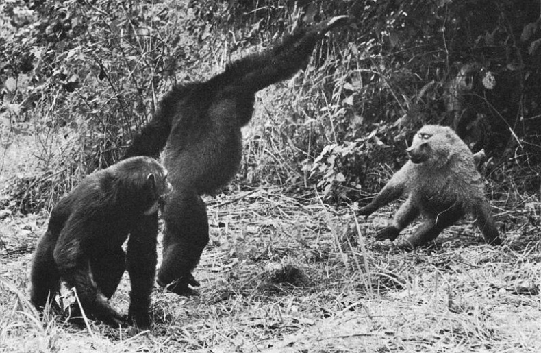 Иллюстрация к книге — В тени человека [i_033.jpg]