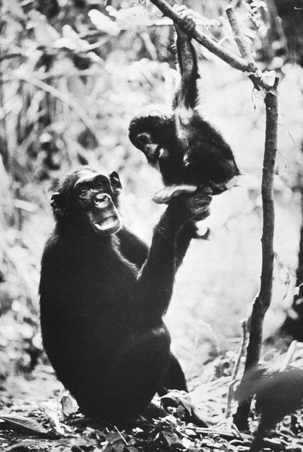 Иллюстрация к книге — В тени человека [i_043.jpg]