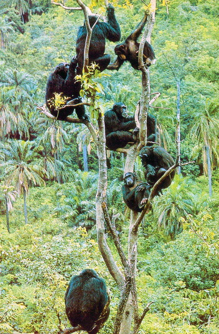 Иллюстрация к книге — В тени человека [i_049.jpg]