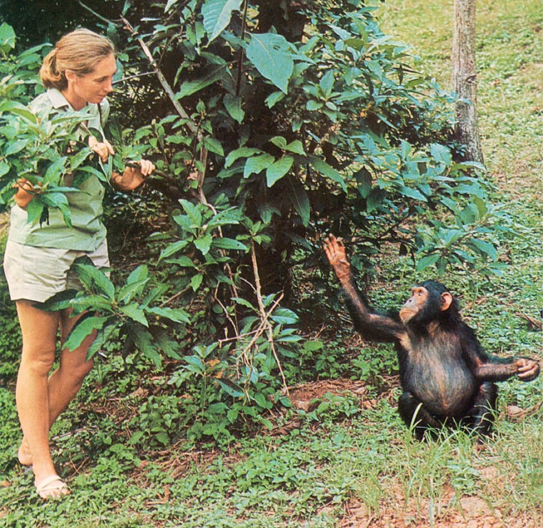 Иллюстрация к книге — В тени человека [i_056.jpg]