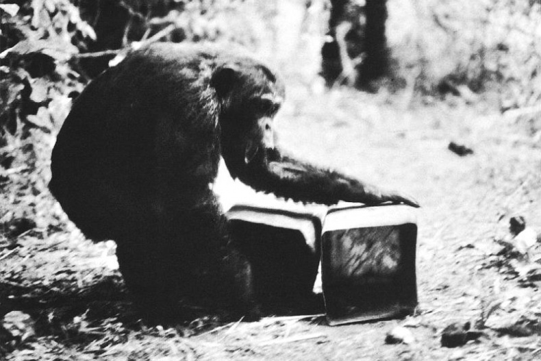 Иллюстрация к книге — В тени человека [i_065.jpg]