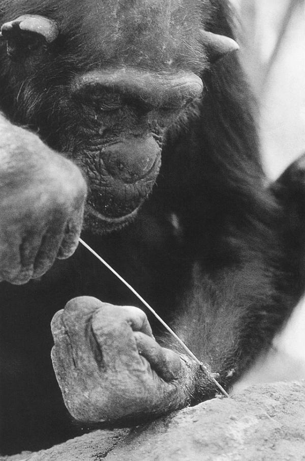 Иллюстрация к книге — В тени человека [i_076.jpg]