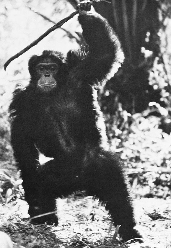 Иллюстрация к книге — В тени человека [i_077.jpg]