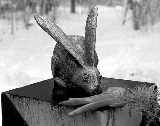 Иллюстрация к книге — Битов, или Новые сведения о человеке [i_058.jpg]