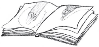 Иллюстрация к книге — Зимняя и летняя форма надежды [_08.jpg]