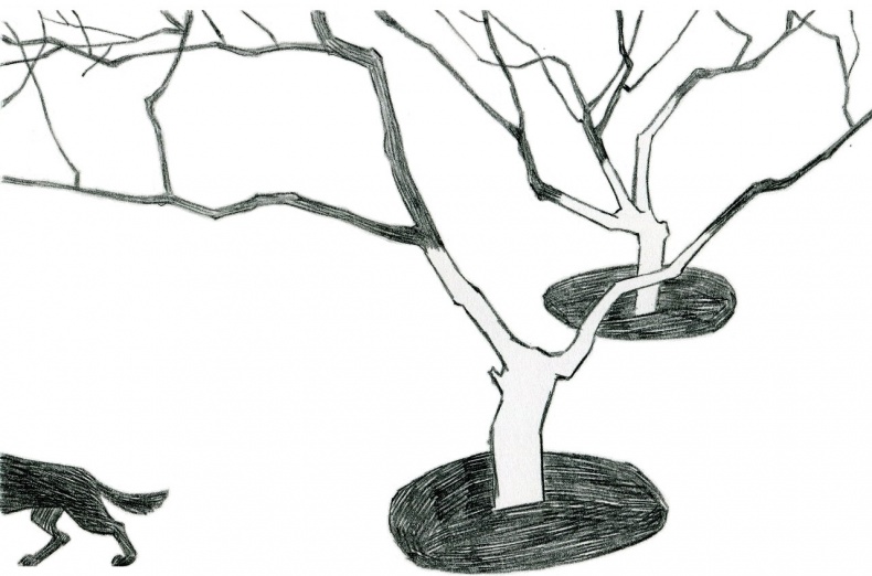 Иллюстрация к книге — Зимняя и летняя форма надежды [_23.jpg]