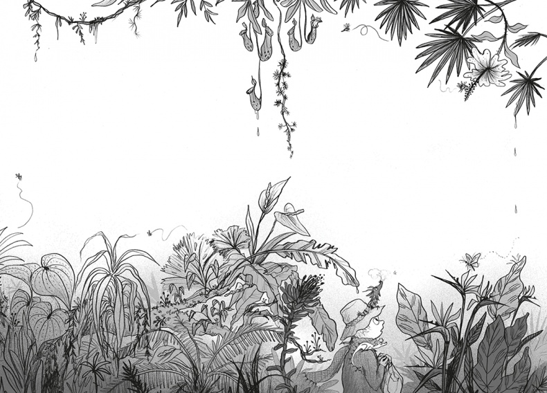 Иллюстрация к книге — Мальчик, который летал с драконами [i_048.jpg]