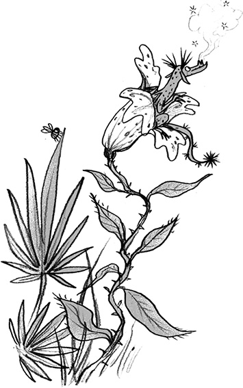 Иллюстрация к книге — Мальчик, который летал с драконами [i_053.jpg]