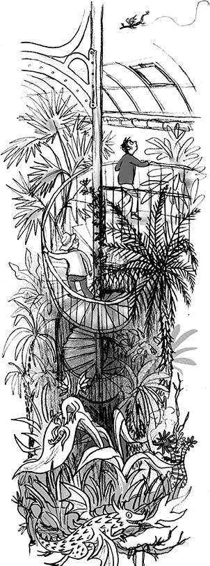 Иллюстрация к книге — Мальчик, который летал с драконами [i_054.jpg]