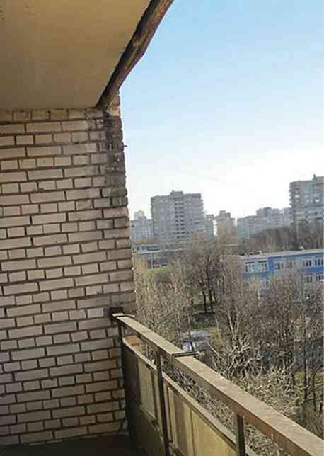 Иллюстрация к книге — Майк Науменко. Бегство из зоопарка [i_081.jpg]