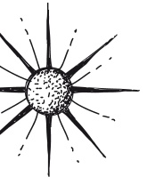 Иллюстрация к книге — Делай космос! [i_038.jpg]