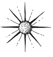 Иллюстрация к книге — Делай космос! [i_123.jpg]