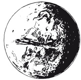 Иллюстрация к книге — Делай космос! [i_181.jpg]