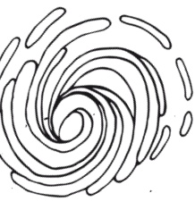 Иллюстрация к книге — Делай космос! [i_224.jpg]