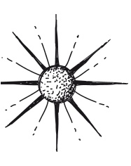 Иллюстрация к книге — Делай космос! [i_234.jpg]