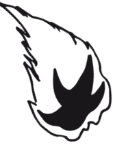 Иллюстрация к книге — Делай космос! [i_246.jpg]