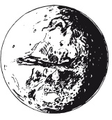 Иллюстрация к книге — Делай космос! [i_287.jpg]