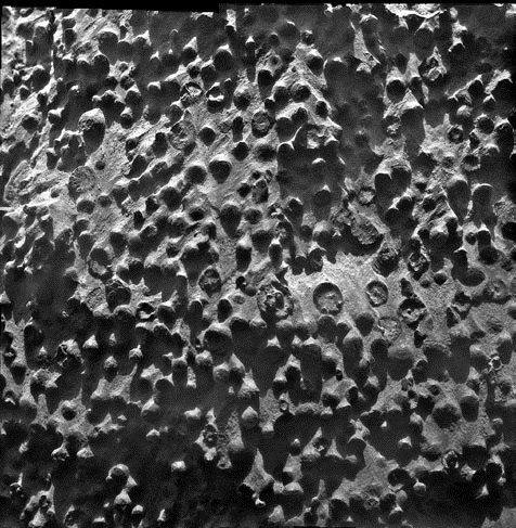 Иллюстрация к книге — Делай космос! [i_348.jpg]