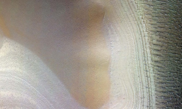 Иллюстрация к книге — Делай космос! [i_355.jpg]