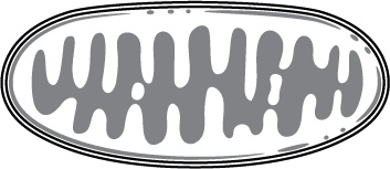 Иллюстрация к книге — Кето-навигатор [i_076.jpg]