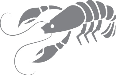 Иллюстрация к книге — Кето-навигатор [i_084.jpg]