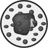 Иллюстрация к книге — Кето-навигатор [i_096.jpg]