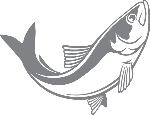 Иллюстрация к книге — Кето-навигатор [i_100.jpg]