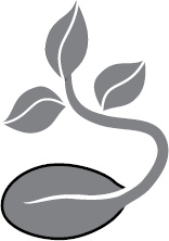 Иллюстрация к книге — Кето-навигатор [i_104.jpg]