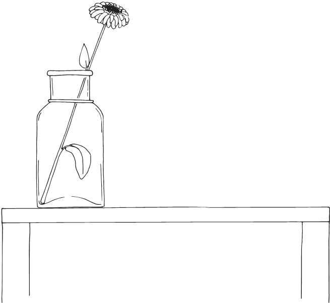 Иллюстрация к книге — Легкая уборка по методу Флай-леди: свобода от хаоса [i_002.jpg]