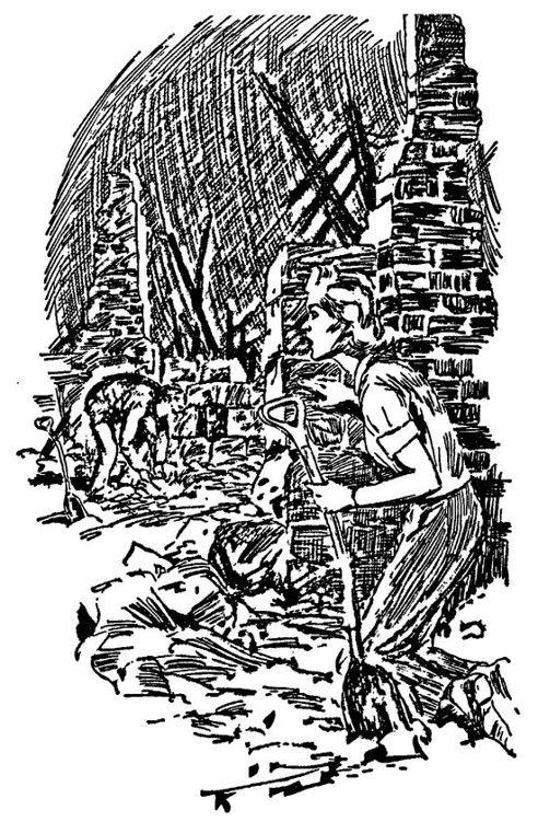 Иллюстрация к книге — Тайна дневника [doc2fb_image_02000008.jpg]