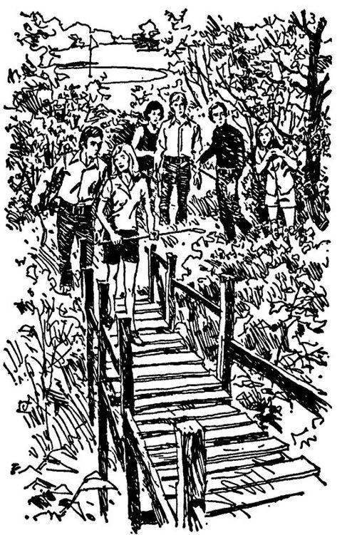 Иллюстрация к книге — Тайна моста с привидением [doc2fb_image_02000002.jpg]