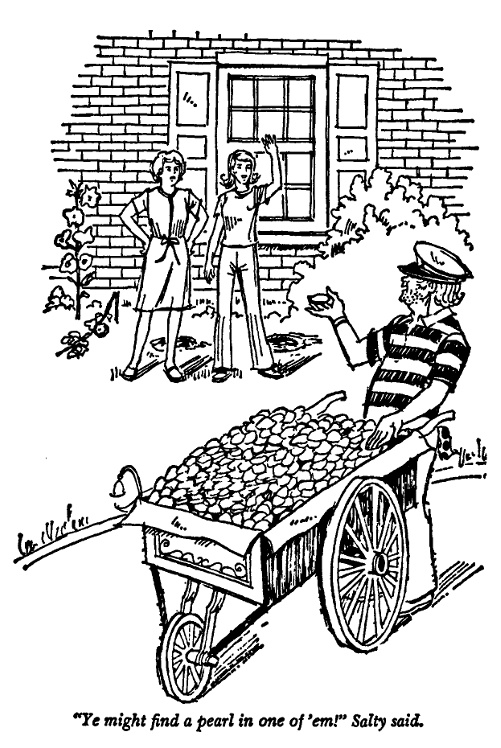 Иллюстрация к книге — Тайна полуразрушенной стены [doc2fb_image_03000002.jpg]