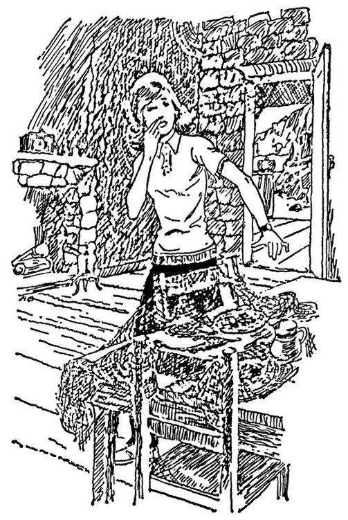 Иллюстрация к книге — Тайна звонящего колокола [doc2fb_image_02000004.jpg]