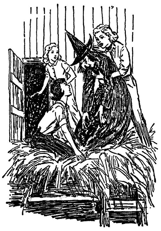 Иллюстрация к книге — Дело о танцующей кукле [_2.jpg]